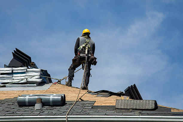 Professional Roof Repair technician working in Augusta, IL